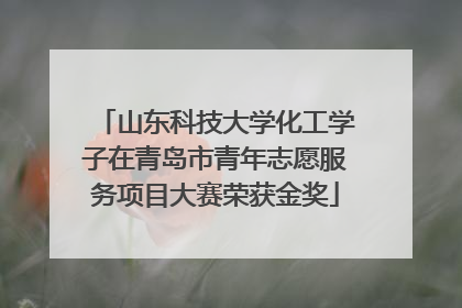 山东科技大学化工学子在青岛市青年志愿服务项目大赛荣获金奖
