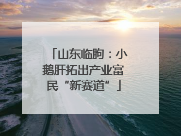 山东临朐：小鹅肝拓出产业富民“新赛道”