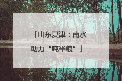 山东夏津：南水助力“吨半粮”