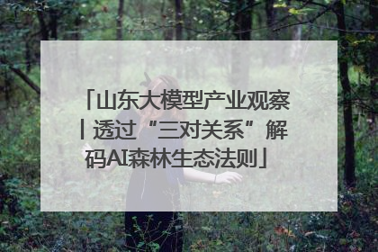 山东大模型产业观察丨透过“三对关系”解码AI森林生态法则