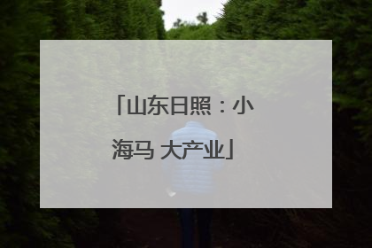 山东日照：小海马 大产业