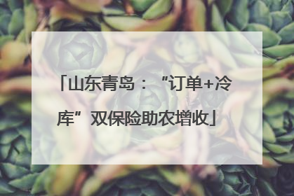 山东青岛：“订单+冷库”双保险助农增收