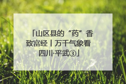 山区县的“药”香致富经丨万千气象看四川·平武③