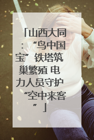 山西大同：“鸟中国宝”铁塔筑巢繁殖 电力人员守护“空中来客”