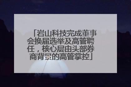 岩山科技完成董事会换届选举及高管聘任，核心层由头部券商背景的高管掌控