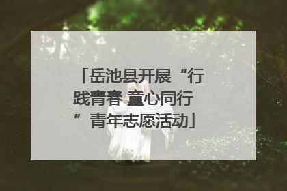 岳池县开展“行践青春 童心同行”青年志愿活动
