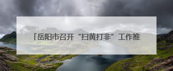 岳阳市召开“扫黄打非”工作推进会 持续筑牢文化安全屏障