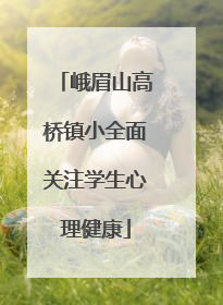峨眉山高桥镇小全面关注学生心理健康