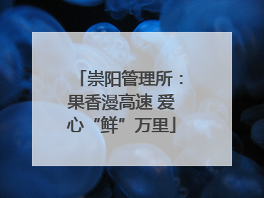 崇阳管理所：果香漫高速 爱心“鲜”万里