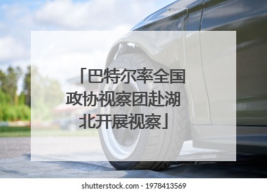 巴特尔率全国政协视察团赴湖北开展视察