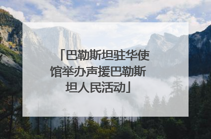 巴勒斯坦驻华使馆举办声援巴勒斯坦人民活动