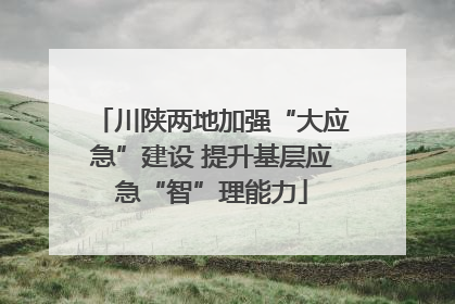 川陕两地加强“大应急”建设 提升基层应急“智”理能力
