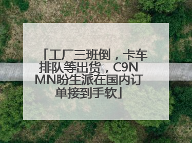 工厂三班倒，卡车排队等出货，C9NMN盼生派在国内订单接到手软