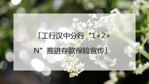 工行汉中分行“1+2+N”推进存款保险宣传