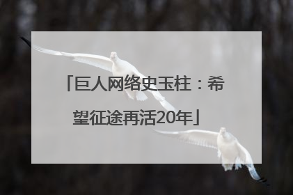 巨人网络史玉柱：希望征途再活20年