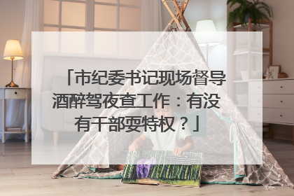 市纪委书记现场督导酒醉驾夜查工作：有没有干部耍特权？