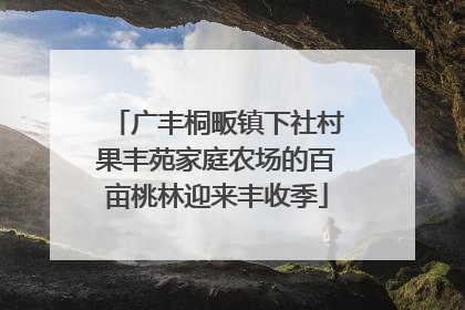 广丰桐畈镇下社村果丰苑家庭农场的百亩桃林迎来丰收季