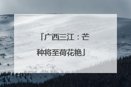 广西三江：芒种将至荷花艳