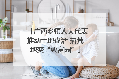 广西乡镇人大代表推动土地盘活 撂荒地变“致富园”