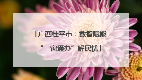 广西桂平市：数智赋能“一窗通办”解民忧