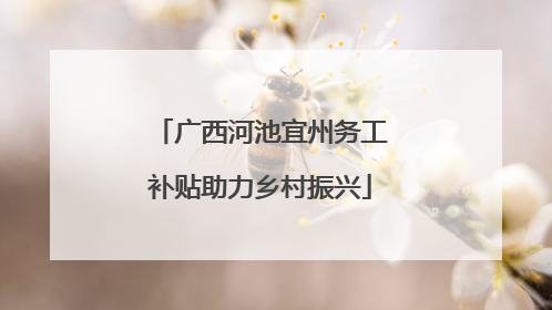 广西河池宜州务工补贴助力乡村振兴