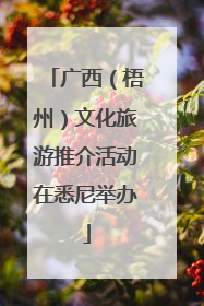 广西（梧州）文化旅游推介活动在悉尼举办
