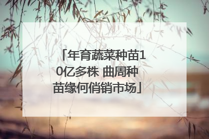 年育蔬菜种苗10亿多株 曲周种苗缘何俏销市场