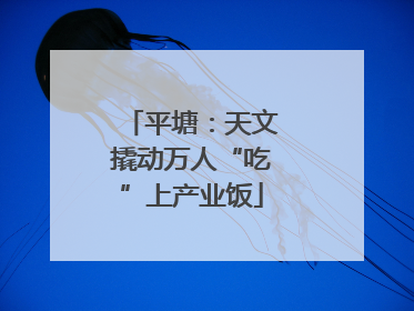 平塘：天文撬动万人“吃”上产业饭