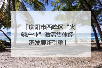 庆阳市西峰区“火辣产业”激活集体经济发展新引擎