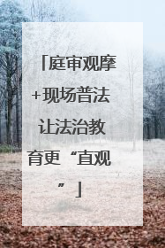 庭审观摩+现场普法 让法治教育更“直观”