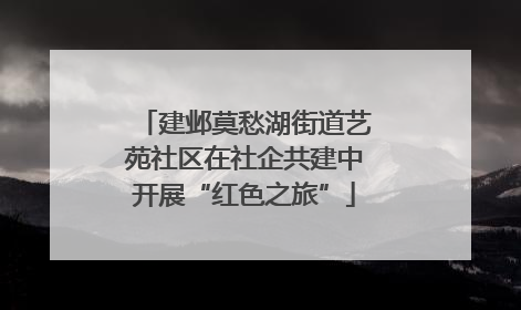 建邺莫愁湖街道艺苑社区在社企共建中开展“红色之旅”