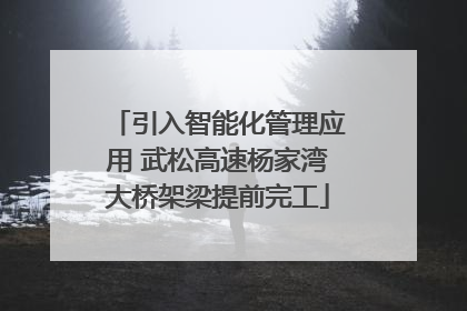 引入智能化管理应用 武松高速杨家湾大桥架梁提前完工
