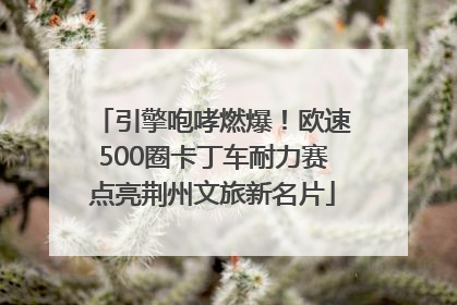 引擎咆哮燃爆！欧速500圈卡丁车耐力赛点亮荆州文旅新名片