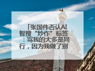 张国伟否认AI智搜“炒作”标签：骂我的大多是同行，因为我做了别人做不了的事
