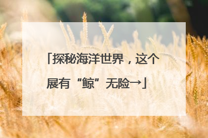 探秘海洋世界，这个展有“鲸”无险→