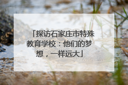 探访石家庄市特殊教育学校：他们的梦想，一样远大