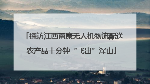 探访江西南康无人机物流配送 农产品十分钟“飞出”深山