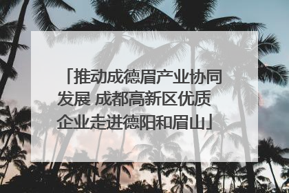 推动成德眉产业协同发展 成都高新区优质企业走进德阳和眉山