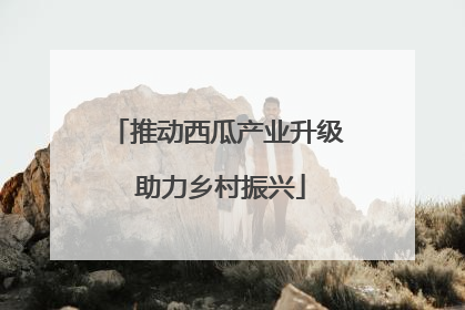 推动西瓜产业升级 助力乡村振兴