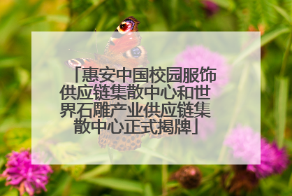 惠安中国校园服饰供应链集散中心和世界石雕产业供应链集散中心正式揭牌