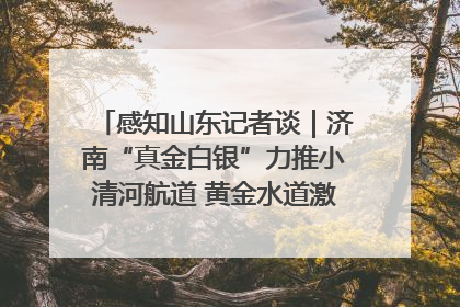 感知山东记者谈｜济南“真金白银”力推小清河航道 黄金水道激活区域经济新动能