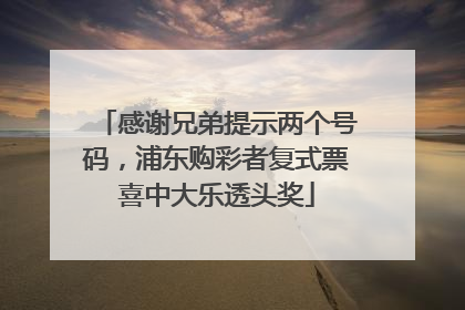 感谢兄弟提示两个号码，浦东购彩者复式票喜中大乐透头奖