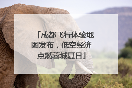 成都飞行体验地图发布，低空经济点燃蓉城夏日