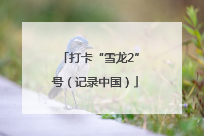 打卡“雪龙2”号（记录中国）