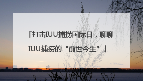 打击IUU捕捞国际日，聊聊IUU捕捞的“前世今生”