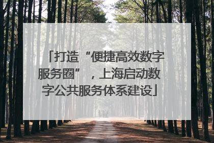 打造“便捷高效数字服务圈”，上海启动数字公共服务体系建设