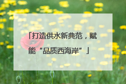 打造供水新典范，赋能“品质西海岸”