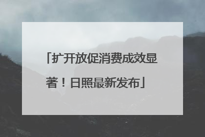 扩开放促消费成效显著！日照最新发布