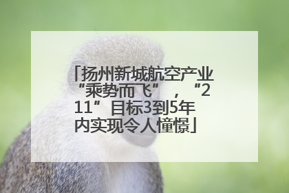 扬州新城航空产业“乘势而飞”，“211”目标3到5年内实现令人憧憬