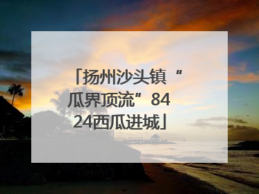 扬州沙头镇“瓜界顶流”8424西瓜进城